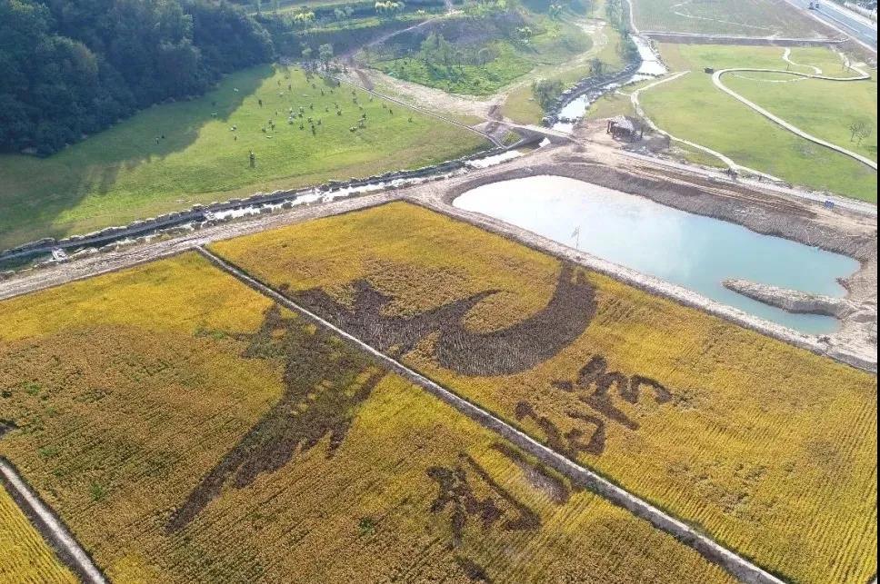 轉(zhuǎn)載｜鄉(xiāng)鎮(zhèn)國土空間總體規(guī)劃編制方法